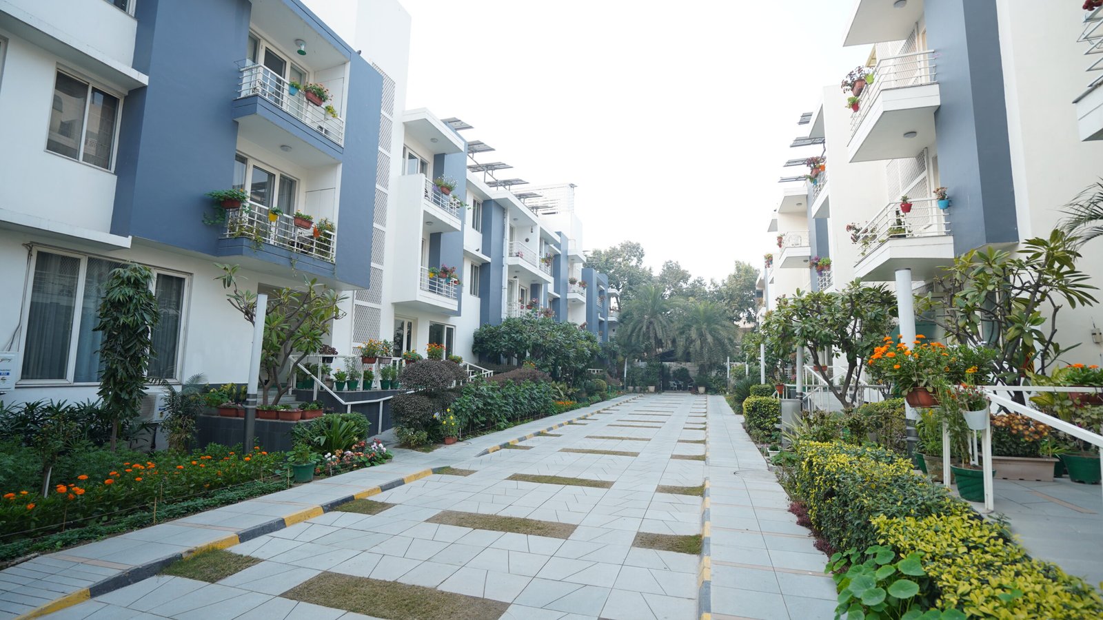Benefits of Community Living for Seniors